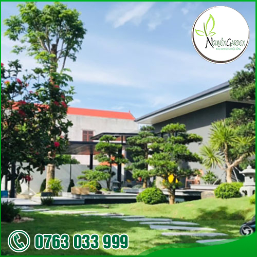 CÔNG TY TNHH TM DV NGUYỄN GARDEN